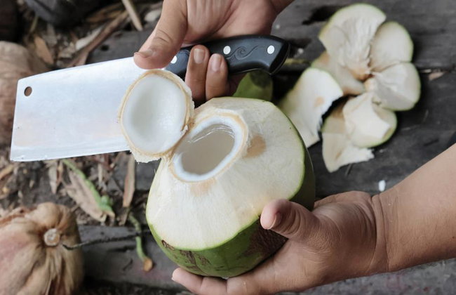 Samut Songkhram Province: the Trail of Coconut Orchards and Sea Salt Fields – Full-Day Tour - Foto 1